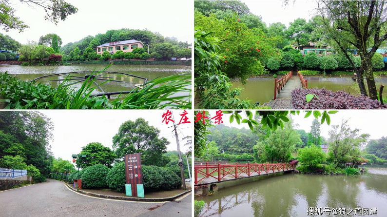 小庆农庄