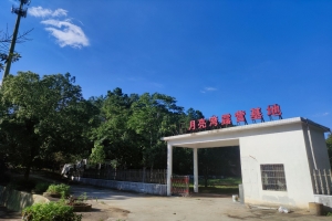 惊爆价“98元农庄团建游玩套餐”